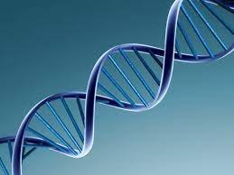 DNA and its Structure