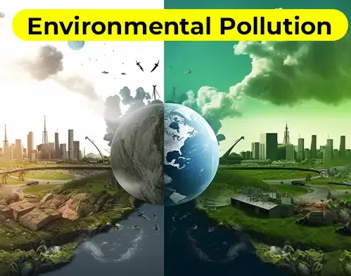 Environmenal Pollution