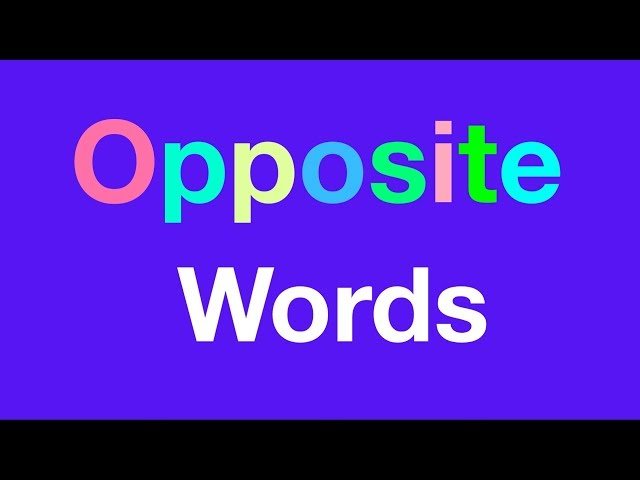 Words Opposistes/Antonyms